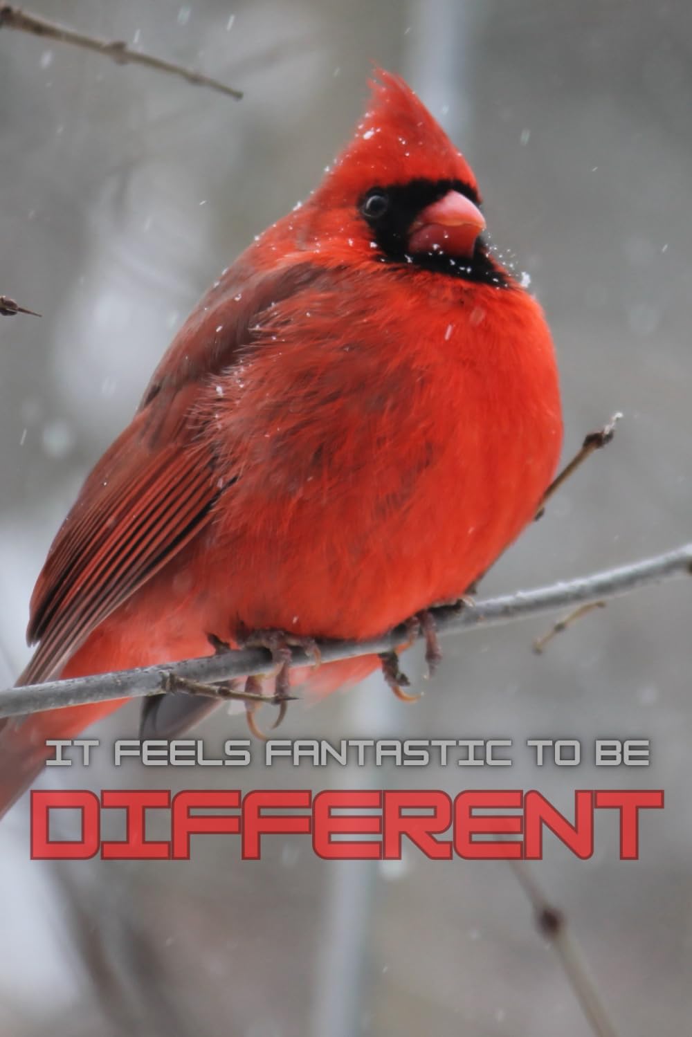 It Feels Fantastic to Be Different: Motivational Notebook